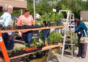 Beth and customers