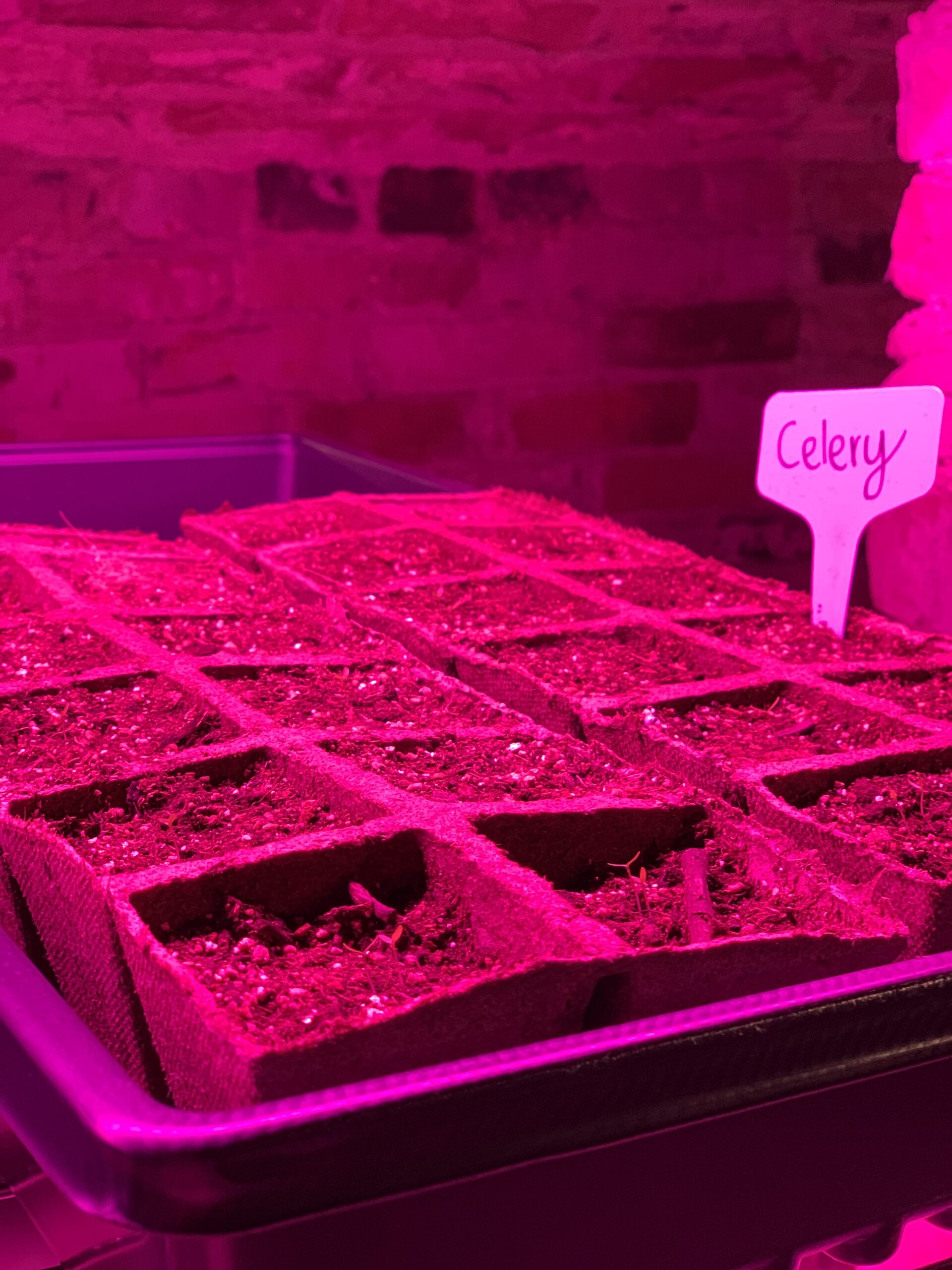 Patience for spring NGXchange