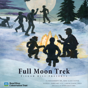 Illustration of people sledding, cross country skiing, and silhouetted next to a campfire with the full moon behind them.