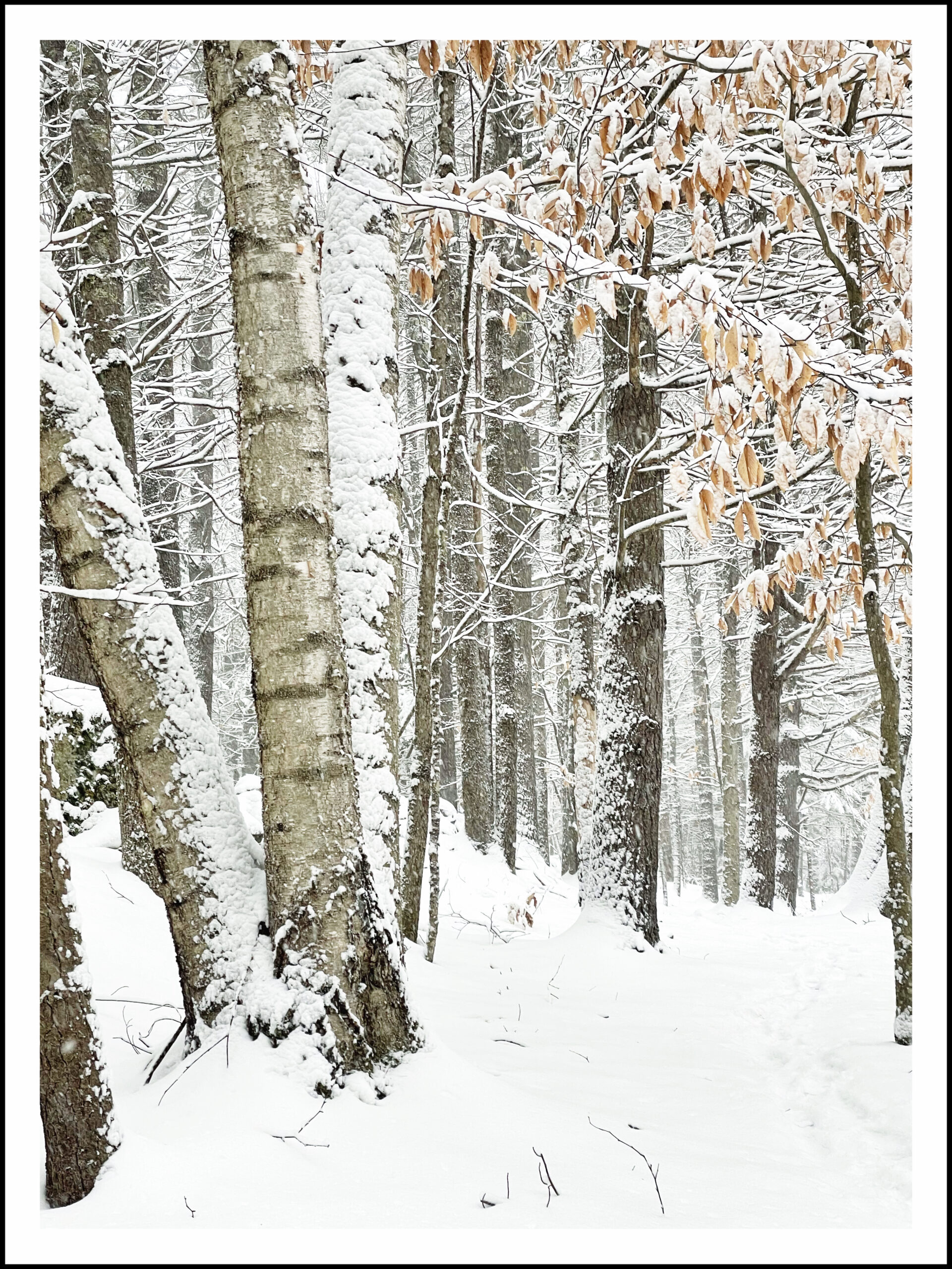 Desk calendars for sale to benefit NG Public Library NGXchange