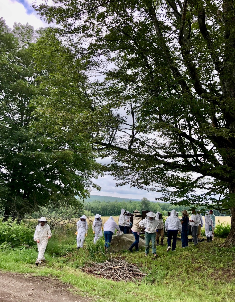 Beekeeping in New Gloucester Open Hive Day at Shaker Village NGXchange